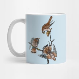 American Kestrel Mug